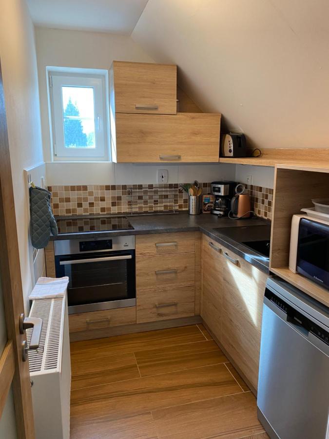 Apartman 430 ديشتني في أورليتسكيخ هوراخ المظهر الخارجي الصورة